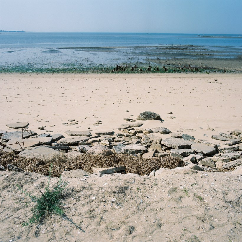 150711_120_Wellfleet_WhitneyBrowne-4